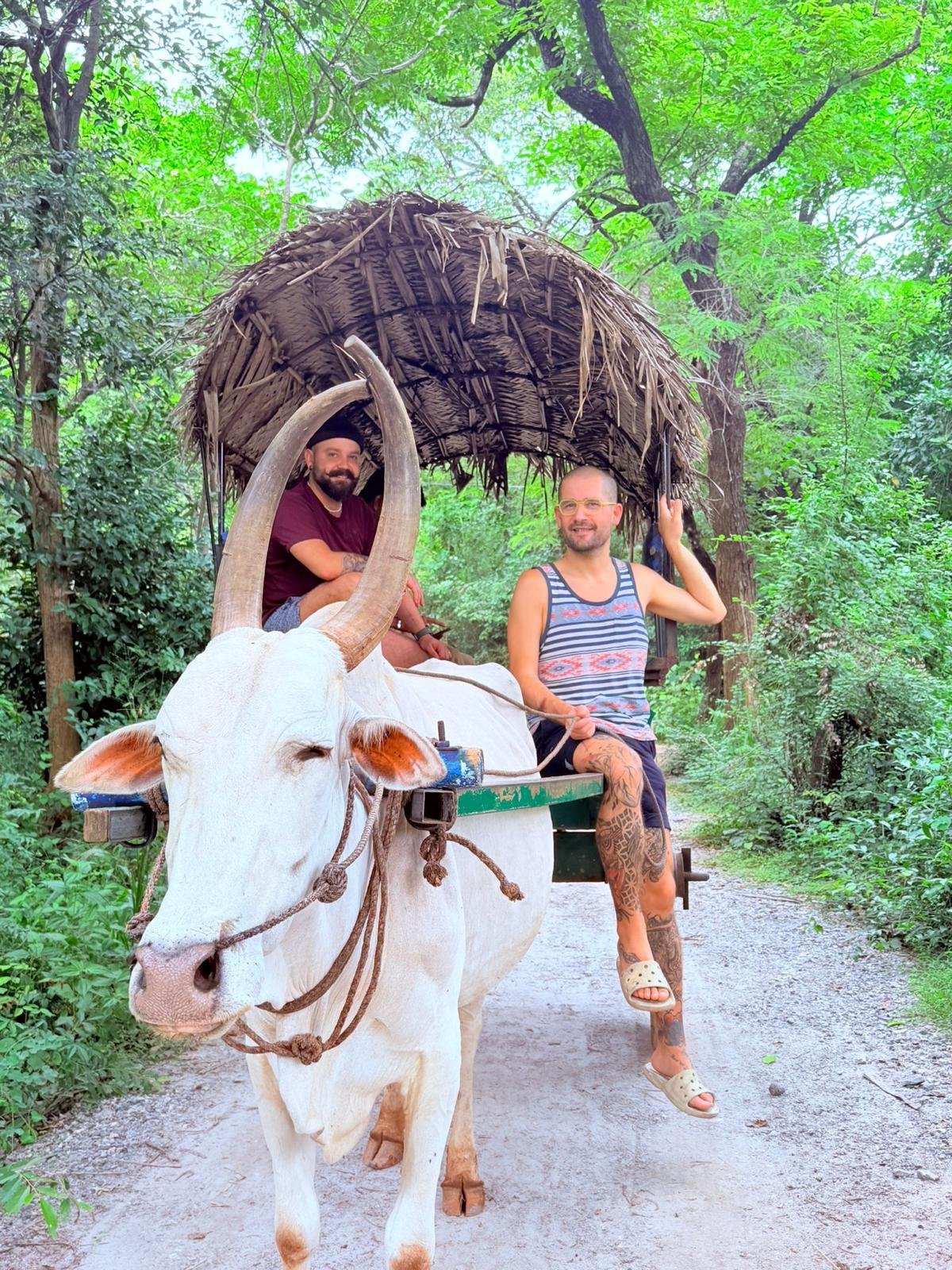 Sri Lanka Kaleidoscope - 15 Days of Discovery